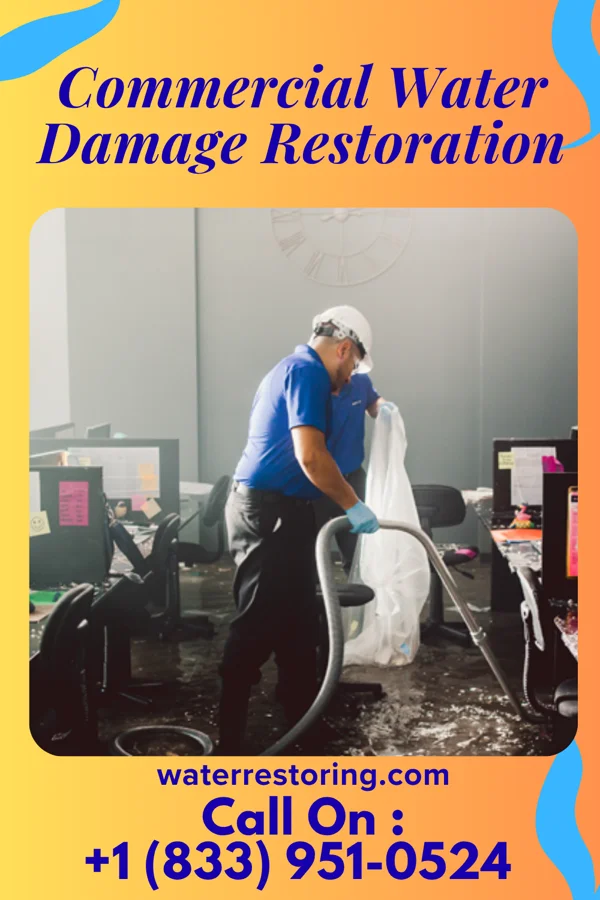 Commercial Water Damage Restoration in Princeton, IN