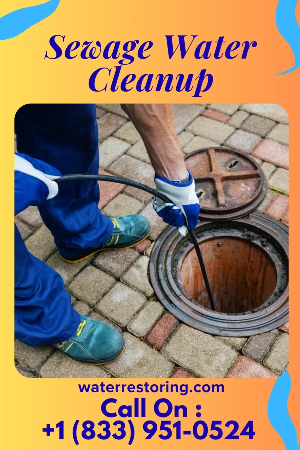 Sewage Water Cleanup in Princeton, IN